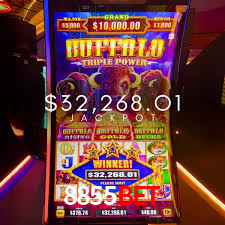 Jogo Aviator 8855Bet